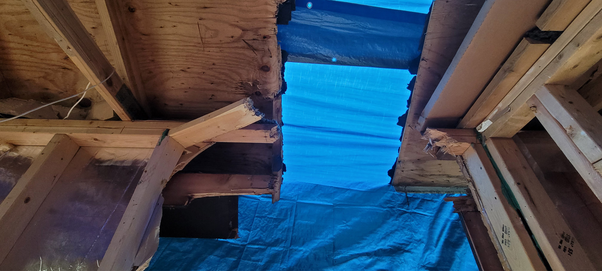 Reliable Building Solutions Board Up & Tarp Over Services Image 3