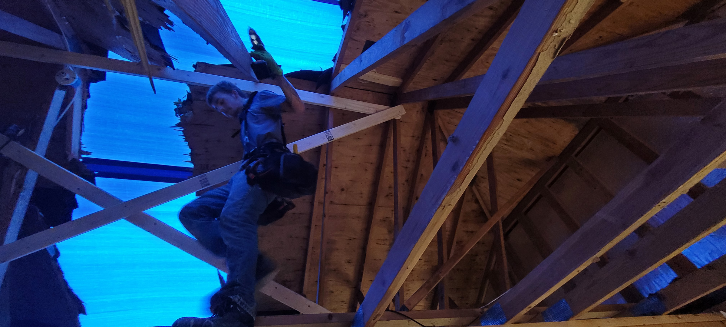 Reliable Building Solutions Board Up & Tarp Over Services Image 5