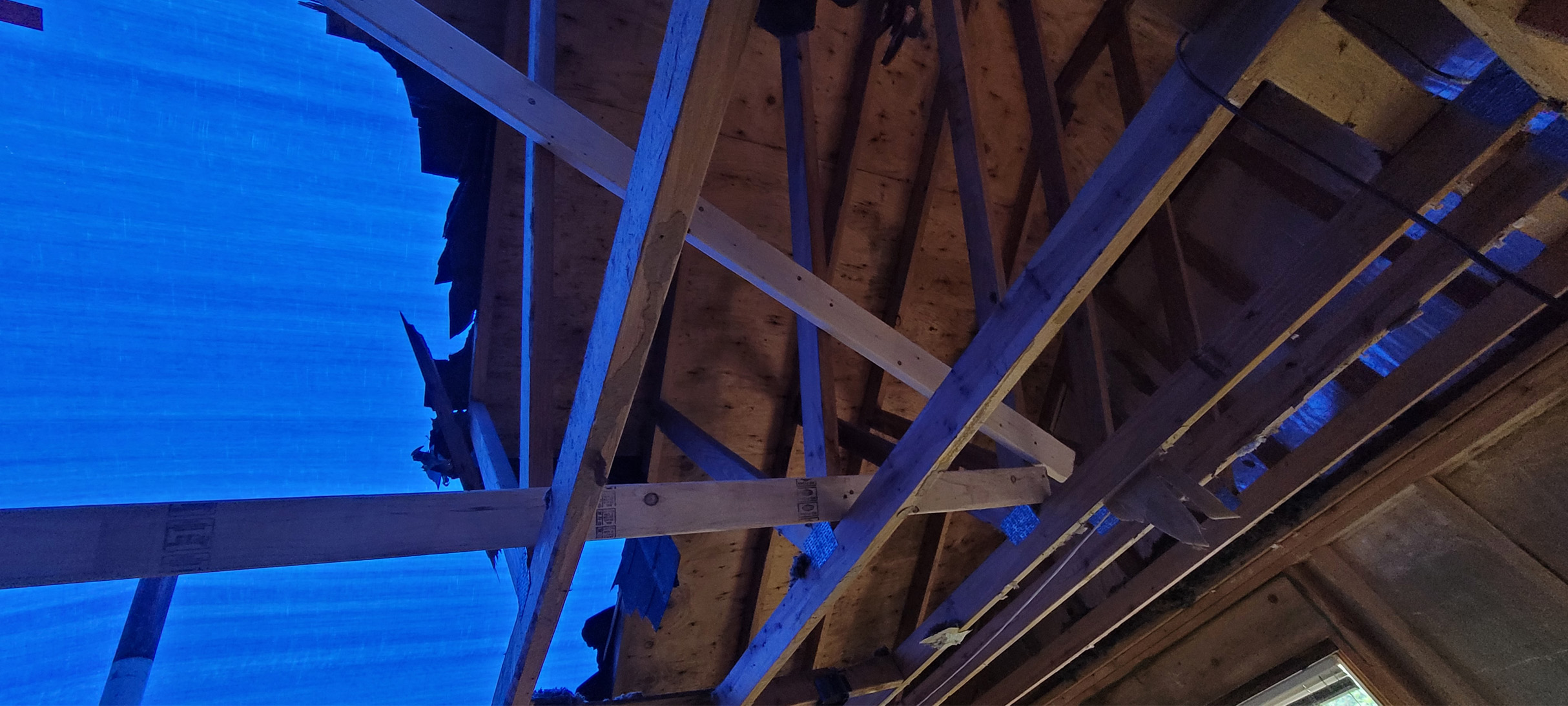 Reliable Building Solutions Board Up & Tarp Over Services Image 6