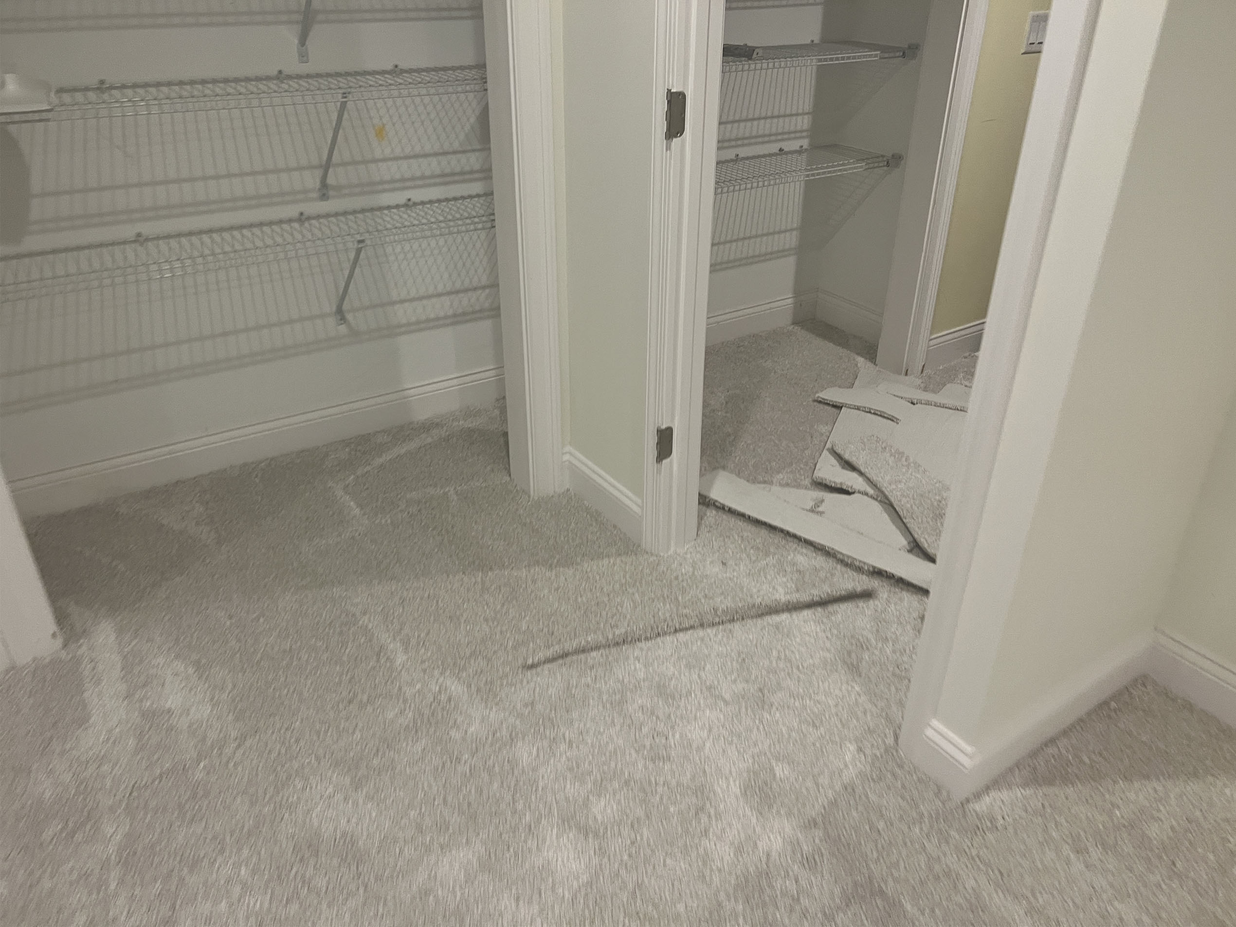 Reliable Building Solutions Flooring Image 33