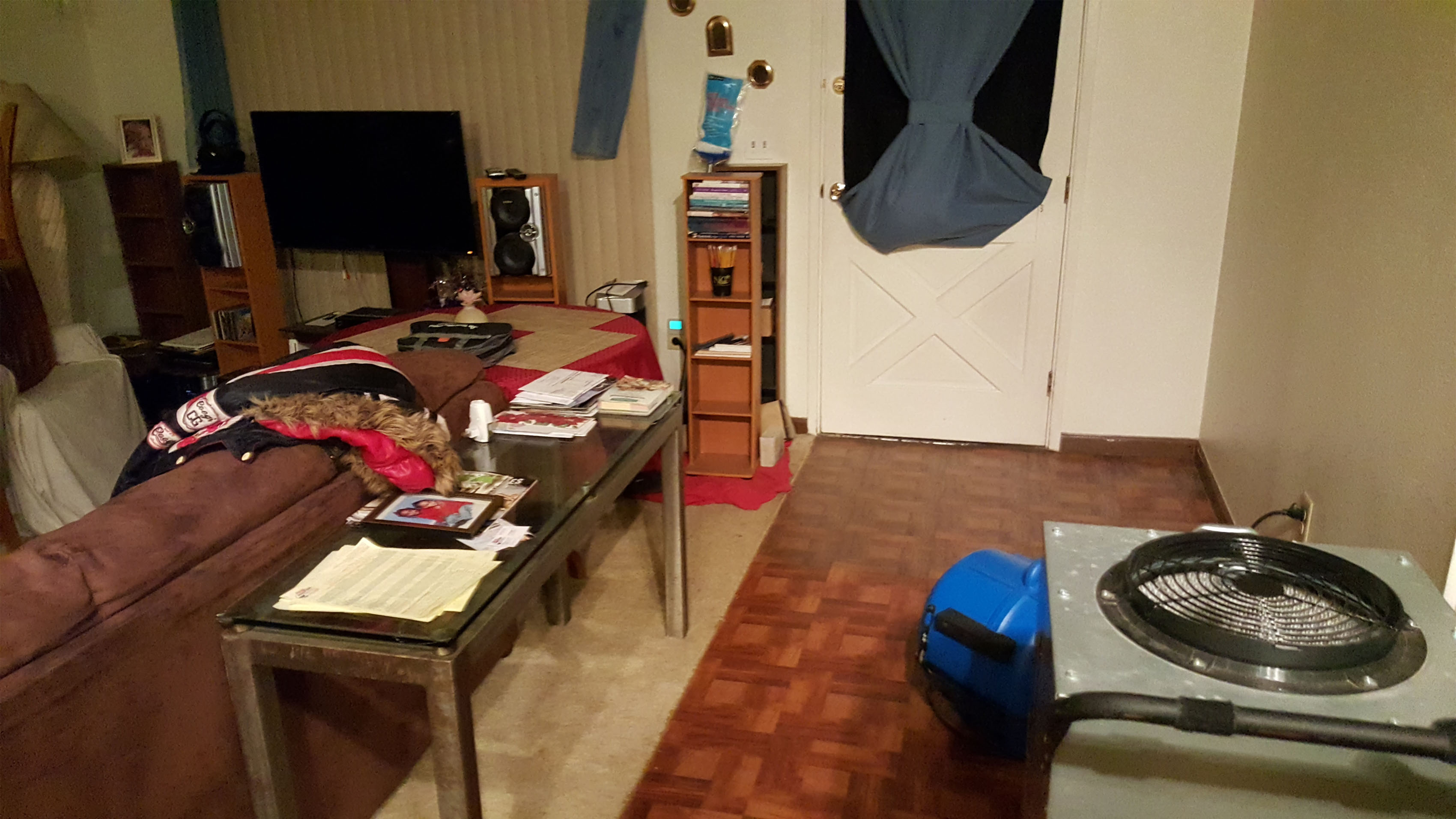 Reliable Building Solutions Water Damage Image 9